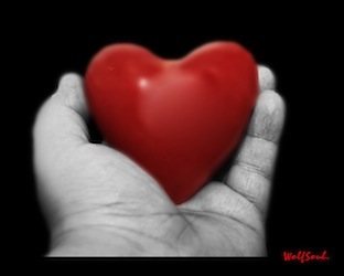 What’s Love Got To Do With Education Reform?